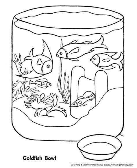 pet fish coloring pages  printable gold fish bowl pet coloring