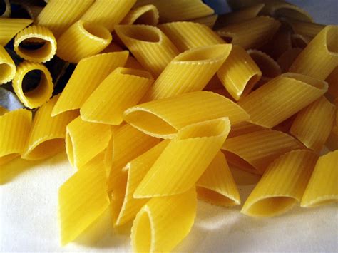 penne   photo  freeimages