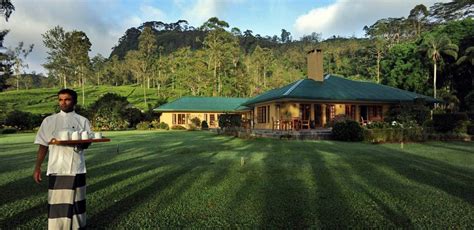 exotic escapes ceylon tea trails bungalow resort