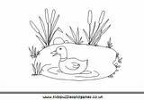 Pond Duck Colouring Farm Animals Coloring Kids Kidspuzzlesandgames sketch template