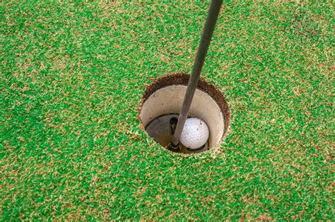golf ball  hole  stock photo public domain pictures