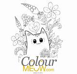 Cat Pages Meow Drawing Colour Colouring Cats Drawings Cute Adults Garden Flowers Neko Therapy Printables Stress Welcome Paintingvalley sketch template