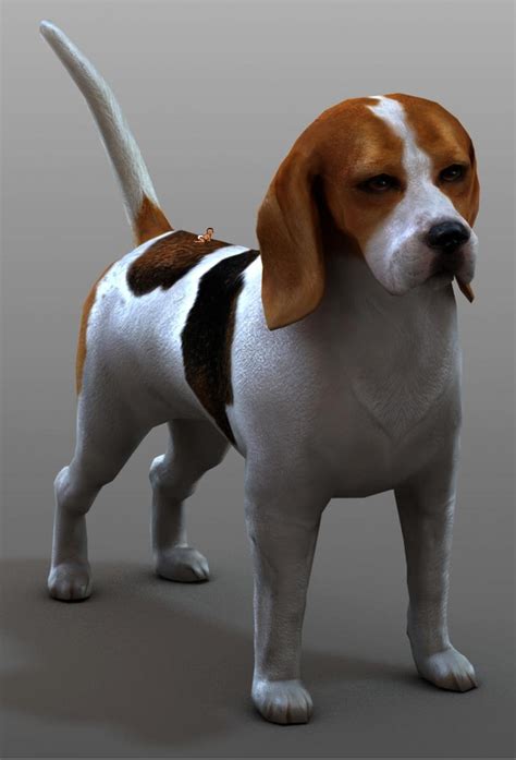 giant beagle  kingkoopzilla  deviantart