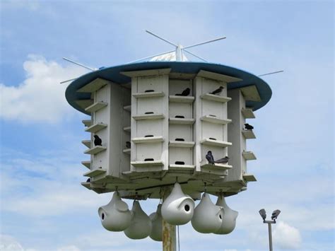 wooden purple martin bird houses martin bird house bird house plans bird houses