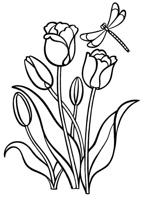coloring page tulips