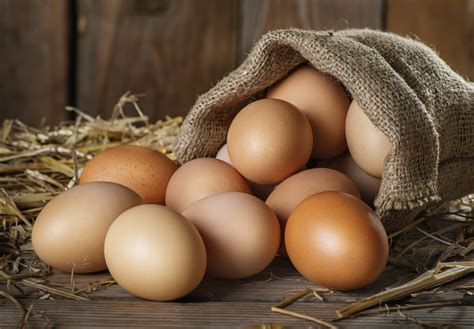 eierkoerbchen coccodandy eier sicher transportieren haushaltstippsnet