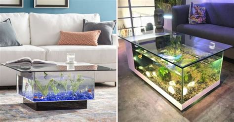 impressive home aquariums   inspired    home