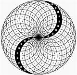 Sacred Vortex Phi Fibonacci Mathematics Symbols Geometrie Heilige sketch template