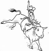 Toros Bucking Rodeo Colouring Bulls Toro Monta Pbr Cowboys Pirograbado Caballos Salvajes Vaquero sketch template