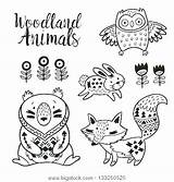 Coloring Arctic Pages Habitat Printable Getdrawings Getcolorings Adults Animals Animal sketch template