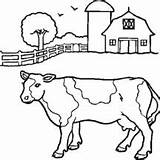 Coloring Cows Skinny Fat Template sketch template