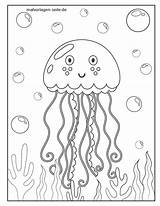 Malvorlagen Qualle Fische Unterwasser sketch template