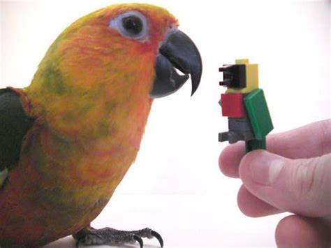 sample lego parrot mini model build lego parrot lego store