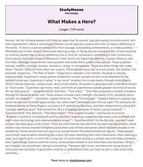 hero  essay