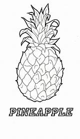 Pineapple Pineapples Colorings sketch template