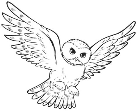 owl flying   wings spread