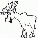 Elk Coloring Pages Kids Worksheets K5 sketch template