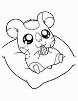 Hamster Coloring Pages Sweet Kids sketch template