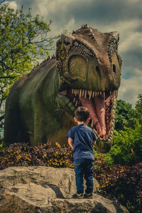 dinosaurs    chester zoo   biggest  exhibition manchester evening news