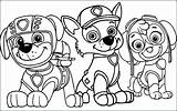Coloring Paw Patrol Pages Printable Kids Easter Party Print Plaid Color Getcolorings Zumba Pool Zuma Getdrawings Colorings Tag Book sketch template