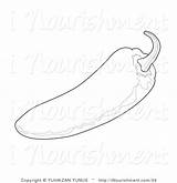 Jalapeno Coloring Clipart Chile Pages Getcolorings Pepper Color Template Clipground sketch template