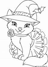Halloween Witch Coloring Cat Pages Printable Info Book sketch template