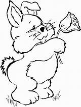 Rabbit Coloring Pages Color Print sketch template