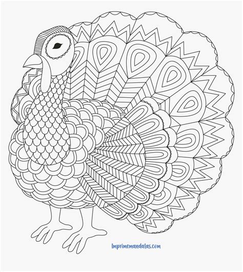 turkey mandala coloring page mandala turkey craft  printable