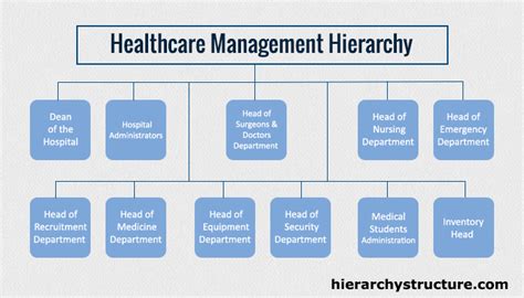 hierarchy  health care business management management structure