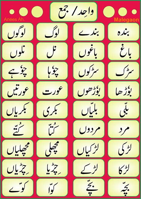 M M C Urdu Pri School No 27 New Educational Charts