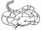 Garter Getdrawings Drawing Snake Coloring sketch template