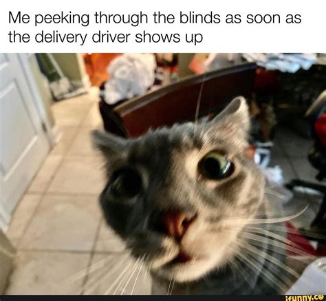 peeking memes  collection  funny peeking pictures  ifunny