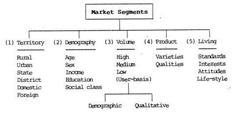 Market Segmentation Definition Concept Requirements How To Types
