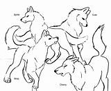 Wolf Coloring Pages Printable Anime Pack Print Wolves Kids Team Drawing Wolfs Winged Realistic Color Moon Howling Cute Baby Tribal sketch template