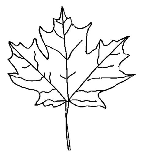 autumn  fall coloring pages leaf coloring page fall coloring