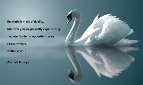 pin  jerry ho lee  meditation swan  reflection quotes mj quotes