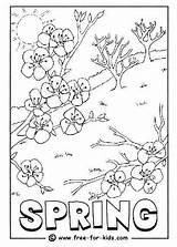 Primavera Colorir Printemps Coloriage Designlooter Coloriages sketch template