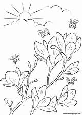 Coloring Spring Pages Branches Flowering Bloom Printable Kids Puzzle Drawing sketch template