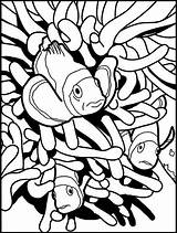 Coloring Fish Pages Clown Clownfish Hiding Anemon Between Preschool Fun Coloringpagesfortoddlers Popular Most Colouring Kids sketch template