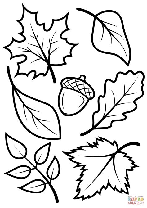 fall leaves  acorn coloring page  printable coloring pages
