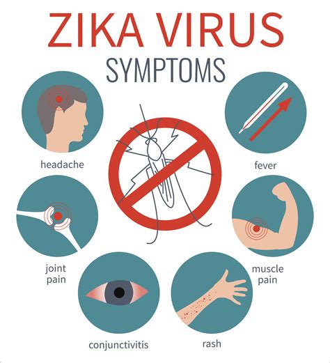 zika virus myths  facts upmc healthbeat