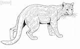 Margay Ocelot Caracal Ozelot Supercoloring Wildkatze Målarböcker Kidadl Leopard sketch template