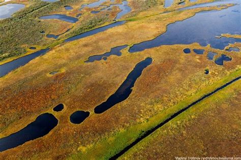 flying   autumn tundra english russia tundra russia natural landmarks