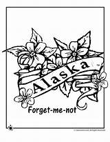Alaska Coloring Pages Flower State Forget Kids Crafts Bird Alabama Color Flowers Jr Usa Flag Patterns Facts Printable Print Comments sketch template