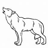 Lobo Lobos Coloring Howling sketch template