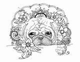 Coloring Pug Pages Pugs Colouring Adult Printable Book Puppy Peek Boo Single Dog Color Choose Board Sheets Drawings sketch template
