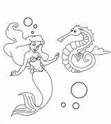 Konik Morski Seahorse Syrenka Colorir Kolorowanka Druku Coloringbay Momjunction Desenhos Malowankę Wydrukuj sketch template