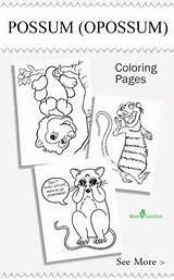 Coloring Pages Possum Animal List Printable Animals sketch template