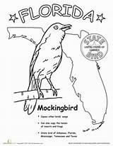 Florida Coloring State Pages Worksheets Bird Flag Symbols Texas Printable Drawing Grade Mississippi Mockingbird Birds Map Color Outlines Kids Maps sketch template