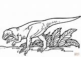 Allosaurus Colorare Alosaurio Allosauro Rex Meglio Clipart Categorías sketch template
